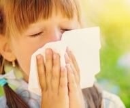 allergie ai pollini nei bambini come si manifestano e cosa fare
