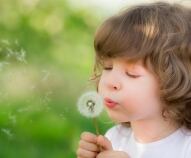 Bambini allergici in vacanza