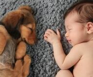 Quali sono i cani adatti ai bambini? Qualche consiglio degli esperti