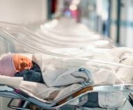 calo di natalita in italia