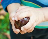 Castagne per bambini