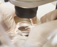 diagnosi preimpianto