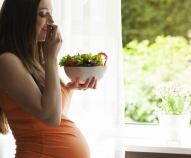 Dieta della gravidanza
