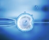 cosa dice la legge sulla fecondazione assistita all estero