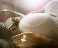 fino a che mese di gravidanza si puo volare