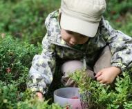 quando i bambini possono mangiare i frutti di bosco