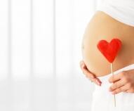 Lo sviluppo del feto mese per mese