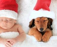 Come passare il Natale con i bambini piccoli