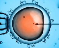 Nuove tecniche di fecondazione assistita