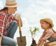 Come fare l'orto a scuola e quali sono i benefici?