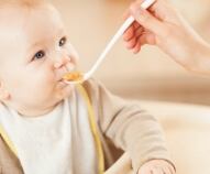 Svezzamento: semplici ricette e primi menu