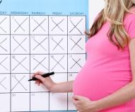 Settimane di gravidanza: perché sono 40 e come cresce il bambino