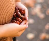 si possono mangiare le castagne in gravidanza