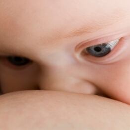 I segreti dell'allattamento