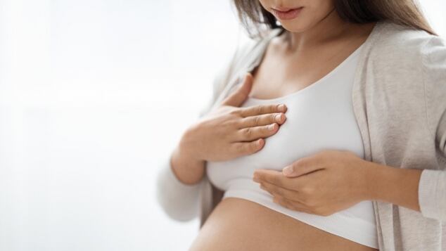 Come cambia il seno durante la gravidanza: dalla sensibilità iniziale alla produzione di colostro, passando per l'aumento di volume e la cura dell'areola come cambia il seno in gravidanza e come prendersene cura