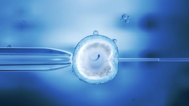 cosa dice la legge sulla fecondazione assistita all estero