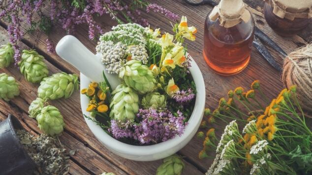 fitoterapia nei bambini