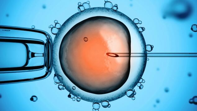 nuove tecniche di fecondazione assistita