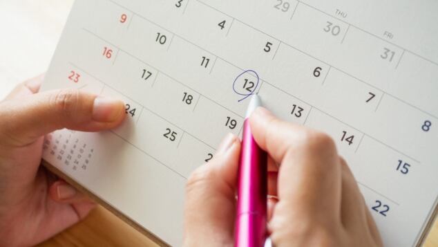 come funziona l ovulazione