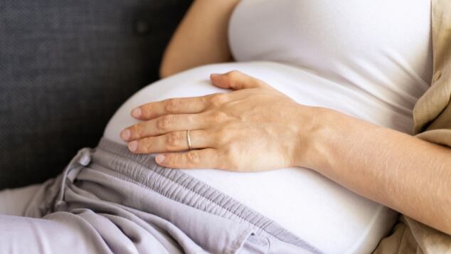 Quinta malattia in gravidanza: è pericolosa? Sintomi e rischi. Parvovirus positivo in gravidanza: cosa fare e quanto è contagiosa la quinta malattia quinta malattia in gravidanza