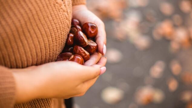 si possono mangiare le castagne in gravidanza