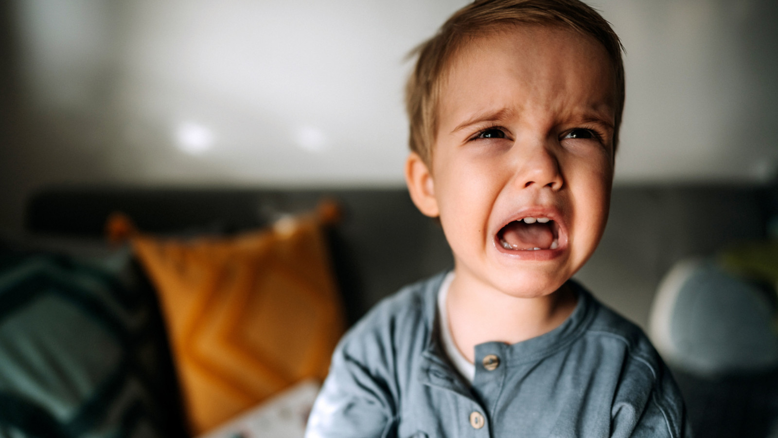 Bambino capriccioso come comportarsi: i consigli del pediatra