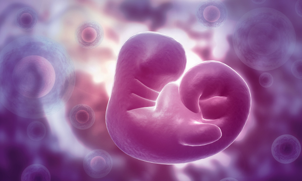 primo mese di gravidanza immagini