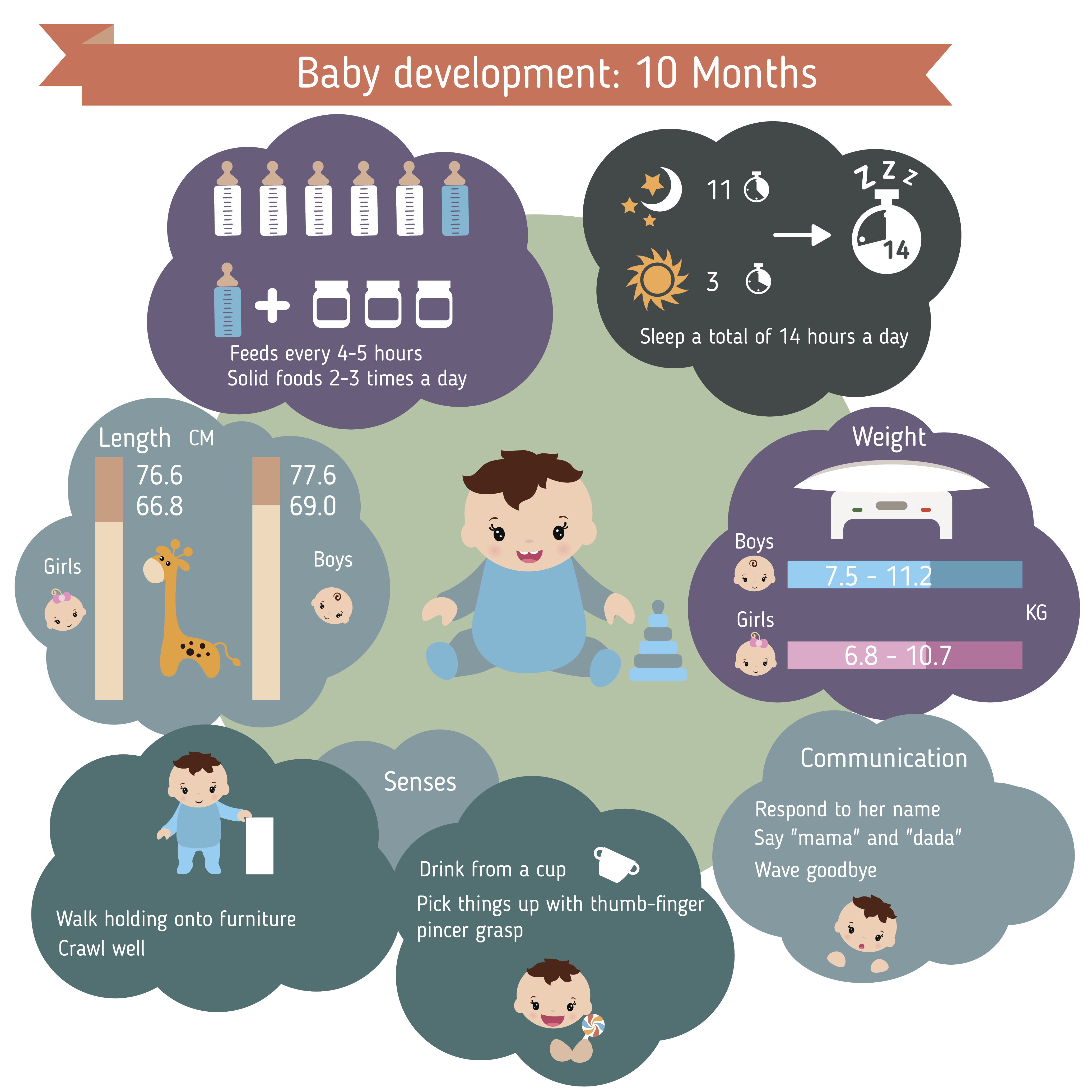 sviluppo del bambino a mesi